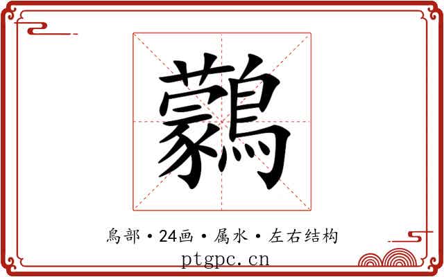 鸏 鸏