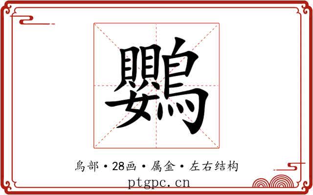 鸚 鸚