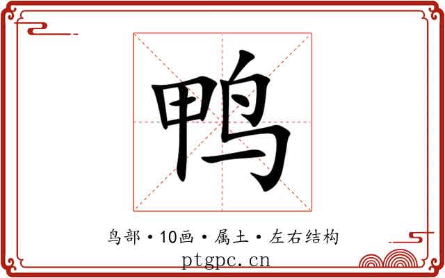 鸭 鸭