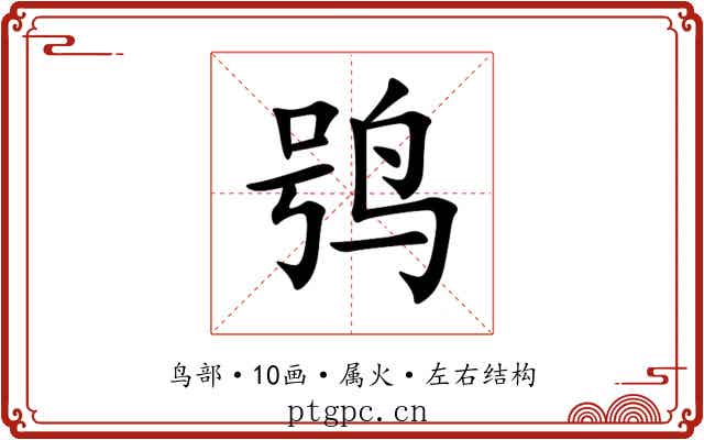 鸮 鸮