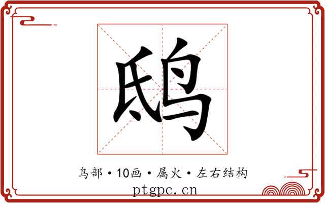 鸱 鸱