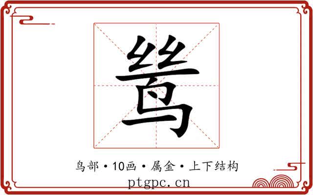 鸶
