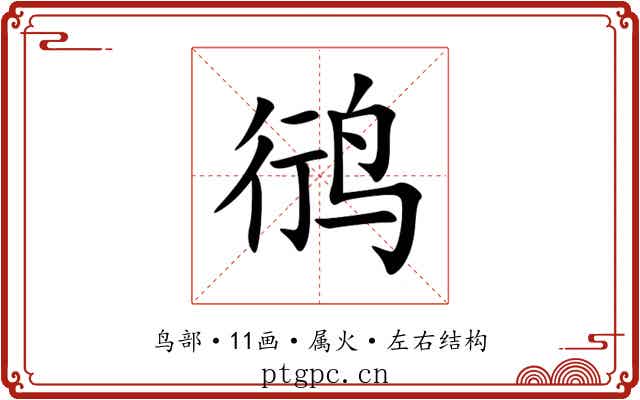 鸻 鸻