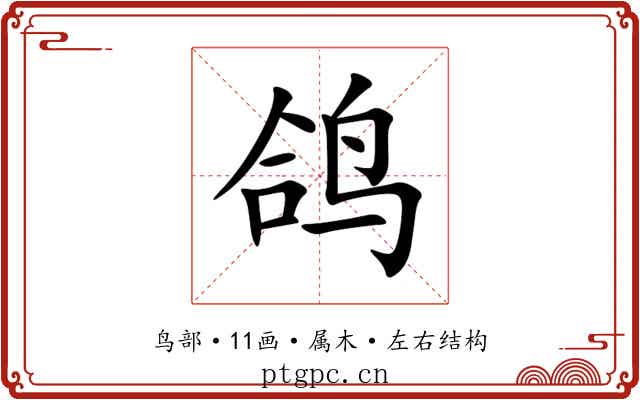 鸽 鸽