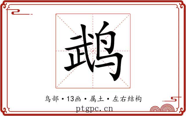 鹉 鹉