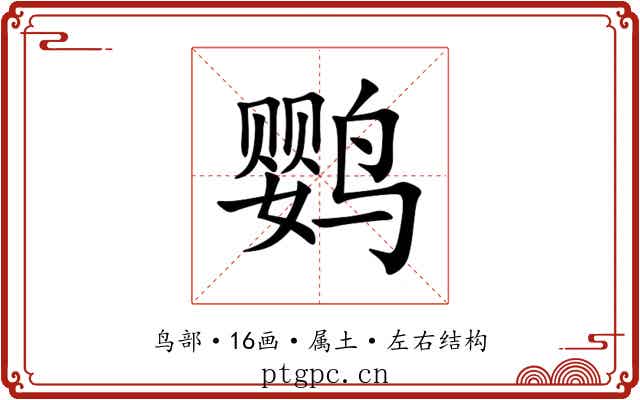 鹦
