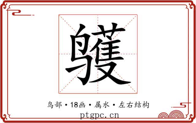 鹱 鹱