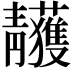 𩇥