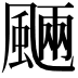 𩗾