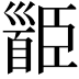 𩠝